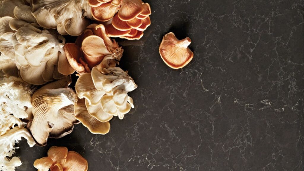 Caesarstone Piatra Grey Composiet Aanrechtbladen