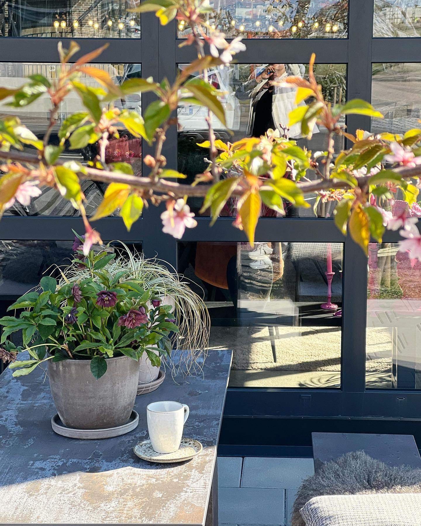 Keramiek Keukenbladen Dekton Trilium